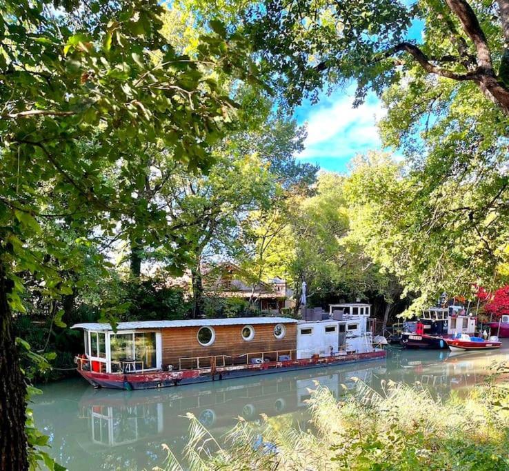 Insolite Peniche Amazonie Canal Du Midi Gardouch Екстериор снимка