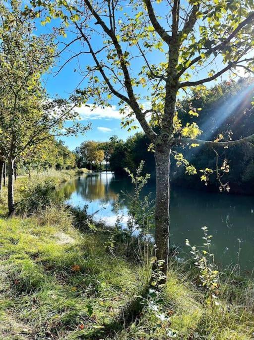 Insolite Peniche Amazonie Canal Du Midi Gardouch Екстериор снимка