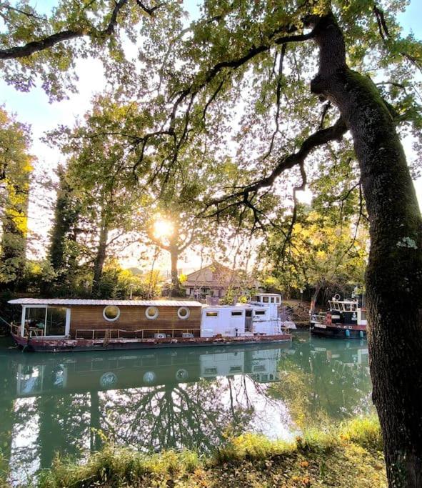 Insolite Peniche Amazonie Canal Du Midi Gardouch Екстериор снимка